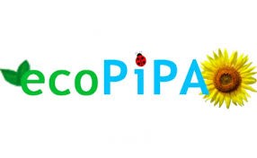 Ecopipa